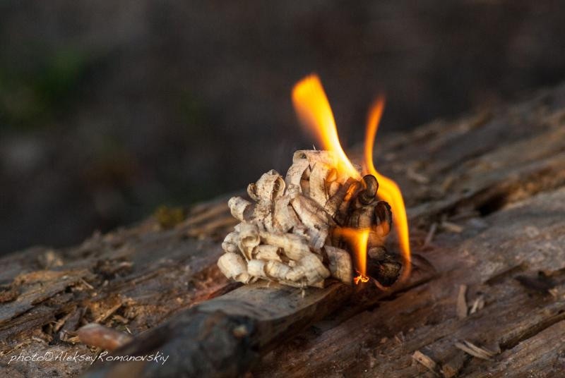 Buy Than ganzo g8012 orange (G8012-Or)