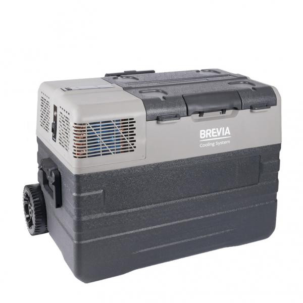 Buy Refrigerator Automobile Brevia 42l 22750