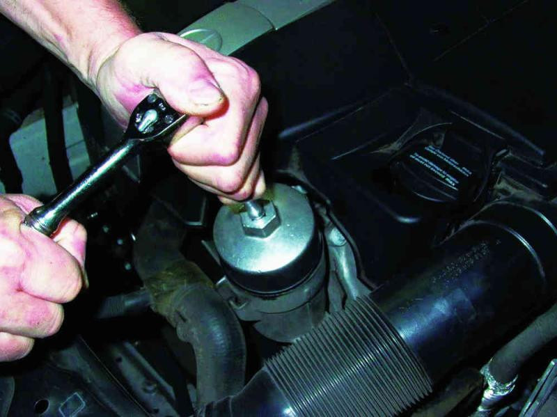 Buy The mascot of the oil Filter "Cup" 14/86 mm (Force 6318614)