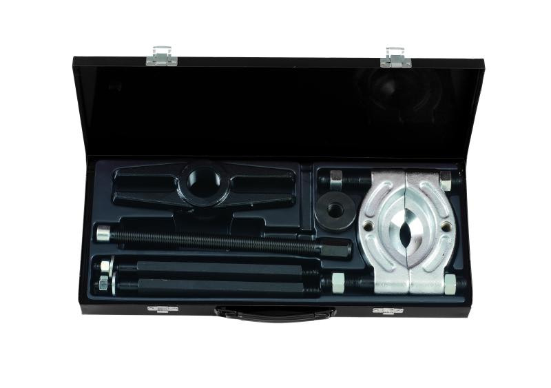 Buy Segmented Prazhipnikov in a collect (75-105 mm) (Force 66612)