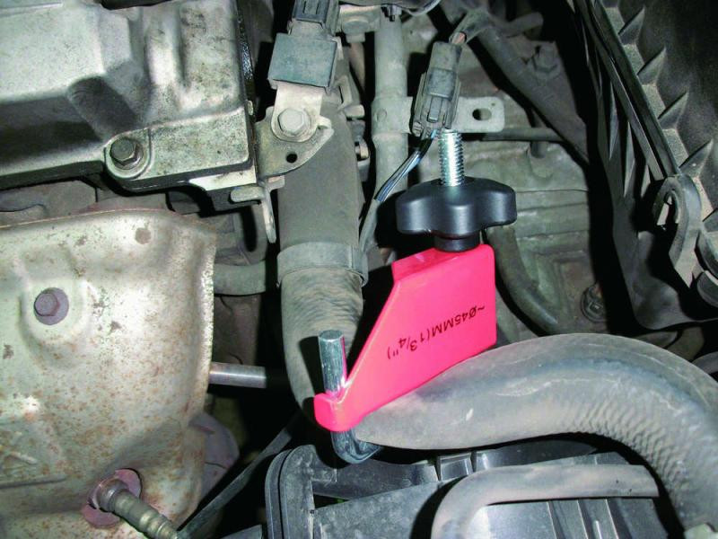 Buy Set for Puppies (Force 904G8)