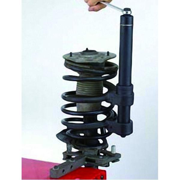 Buy Set for springs (Macferson type suspension) (Force 908T5)