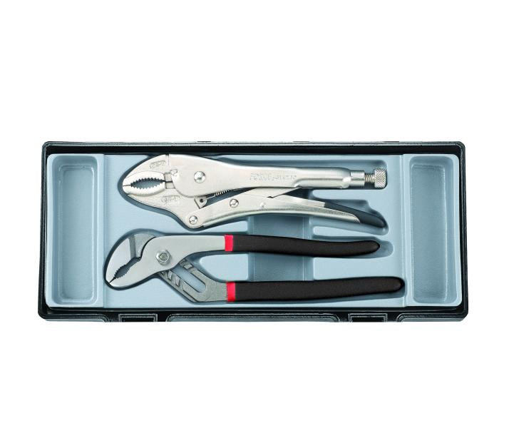 Купити Набор шарнирно-губцевого инструмента 2 пр. (FORCE T5021)