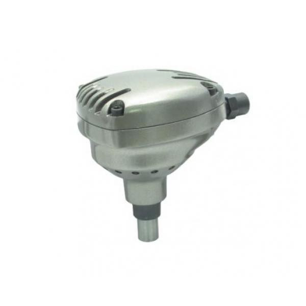 Buy Carnation pneumatic 1 000 beats/min (Sumake ST-3300)