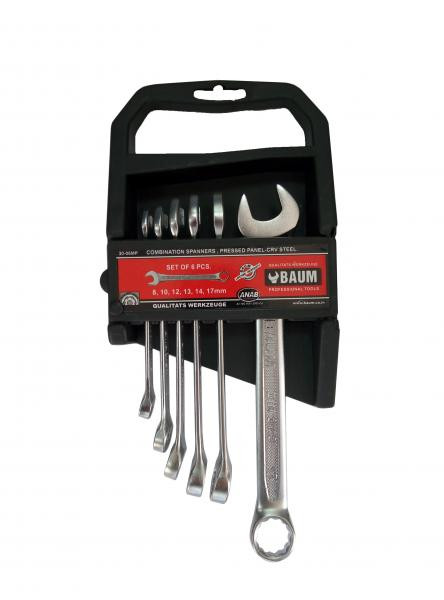 Buy Set of keys of cutter in plastic holder 6 BC (8-17 mm) (Baum 30-06MP)