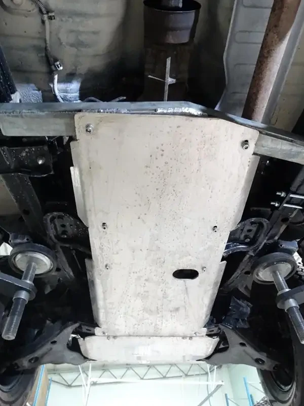 Buy Protection of the checkpoint and handouts for Mitsubishi L200 05-10 F4X4