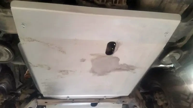 Buy Protection of Mitsubishi Pajero III 99-06 Mitsubishi PPP