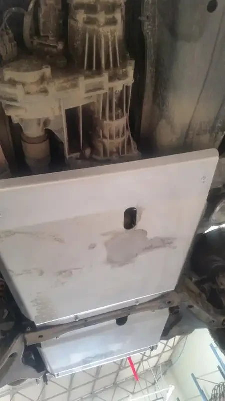 Buy Protection of Mitsubishi Pajero III 99-06 Mitsubishi PPP