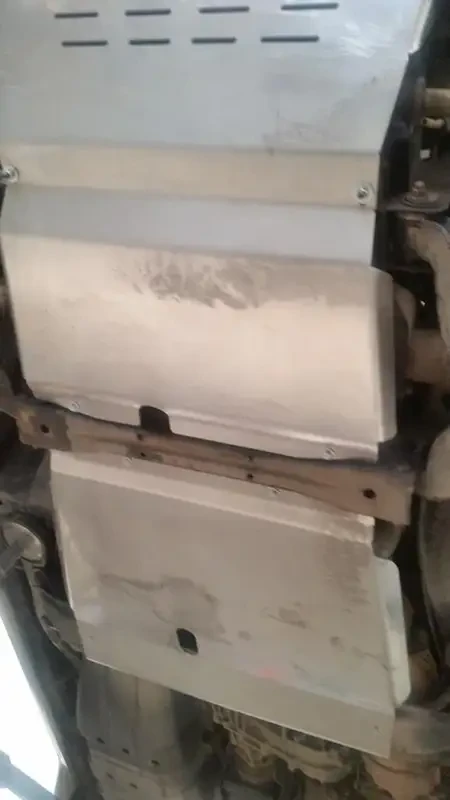 Buy Protection of Mitsubishi Pajero III 99-06 Mitsubishi PPP