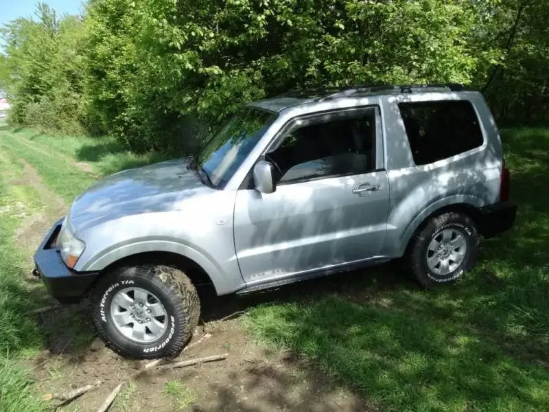 Buy Protective Thresholds for Mitsubishi Pajero III 99-06 Short Base F4X4