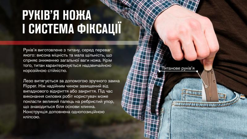 Buy Than a folding Adimanti by Ganzo (Skimen Design) titanium brown