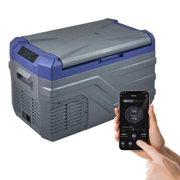 Buy Refrigerator Automobile Brevia 27l 22920