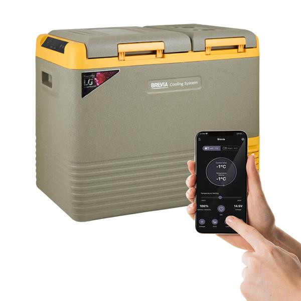 Buy Refrigerator Automobile Brevia 40l (LG Compressor) double -chamber 22565