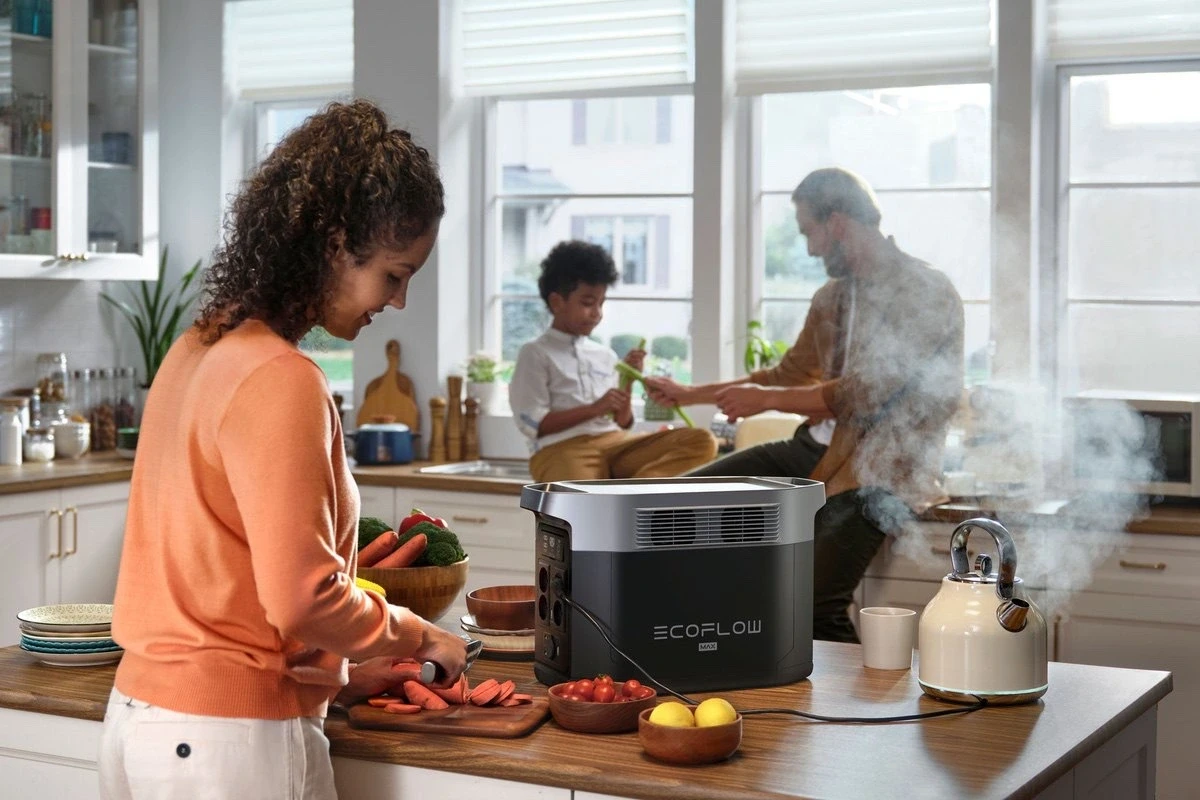 Buy Ecoflow Delta 2 Max (2048 W · h)