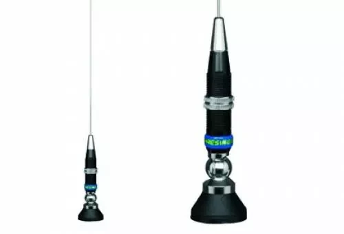 Buy President Hawaii Ammi117