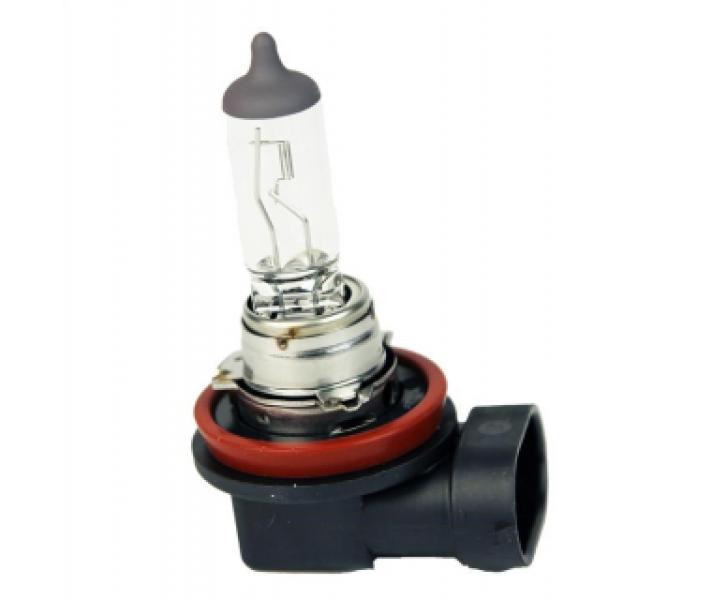 Buy Hlogen 24V, 100/H11 Mars Turkey (2406324118)