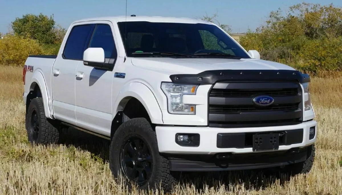 Buy Capid Deflector for Ford F-150 from 2015 ToughGuard TS8A15