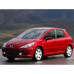 Купити Мультимедійна система Gazer T6009-PF2 PRO MAX до Peugeot 307 2001-2008