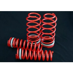 Купити Комплект підвіски занижений -30мм BATTLEZ Toyota Land Cruiser 200 2007+ GASOLINE B764048F/R