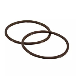 Buy Set of Salni to Branch Differential (2 Salni) 160211SP