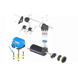 Buy SPECTION TO BRANCH (BOLT) BOLD 200405