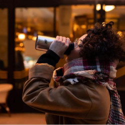 Купить Термочашка Esbit MGF450TL-S