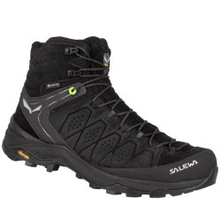 Купить Черевики Salewa MS Alp Trainer 2 Mid GTX