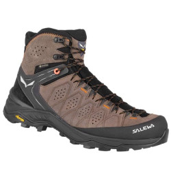 Buy Salewa Ms Alp Trainer 2 Mid GTX