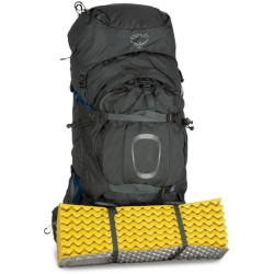 Купить Рюкзак Osprey Aether Plus 70