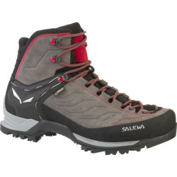 Купить Черевики Salewa MS MTN Trainer Mid GTX
