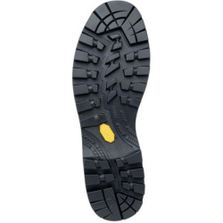 Buy Zamberlan's boots 2090 Mountain Pro Evo GTX RR