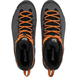 Купить Черевики Salewa MS ALP Mate Winter MID WP