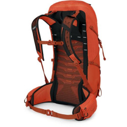 Купити Рюкзак Osprey Talon Pro 30