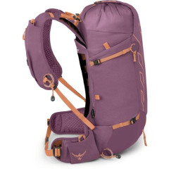 Buy Osprey Tempst Velocity 20 Backpack