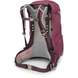 Buy Osprey Sirrus 34 backpack