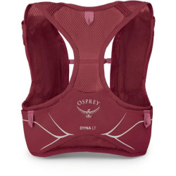 Купити Рюкзак Osprey Dyna LT