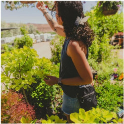 Купити Сумка Osprey Daylite Small Crossbody