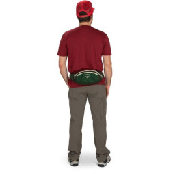 Купити Поясна сумка Osprey Daylite Waist