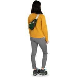 Купити Поясна сумка Osprey Daylite Waist