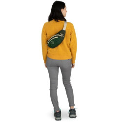 Купити Поясна сумка Osprey Daylite Waist