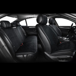 Buy Premium capes for front seats Winso Pro Delta, Black 2pcs.