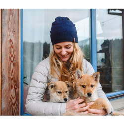 Купить Шапка Turbat Saga