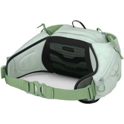 Купити Поясна сумка Osprey Tempest 6