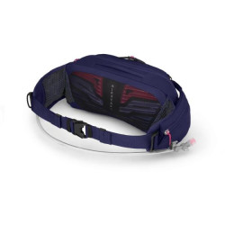 Купити Поясна сумка Osprey Raven 4