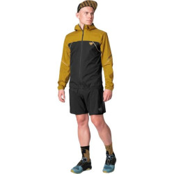 Купити Флісова кофта Dynafit Alpine 3L Mns