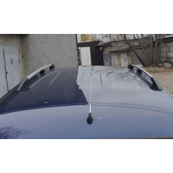 Купити Рейлінги Хром Металеві ніжки для Fiat Doblo I 2001-2005 рр