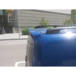 Купити Спойлер Anatomic (Розпашні двері, під фарбування) для Peugeot Bipper