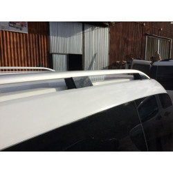 Купить Рейлинги Skyport Grey V1 для Peugeot Bipper