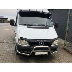 Купить Кенгурятник с усами (нерж.) для Mercedes Sprinter W901/902/903/904/905 1995-2006 гг