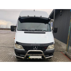 Купить Кенгурятник с усами (нерж.) для Mercedes Sprinter W901/902/903/904/905 1995-2006 гг